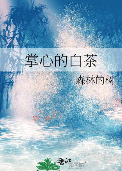 掌心的白茶