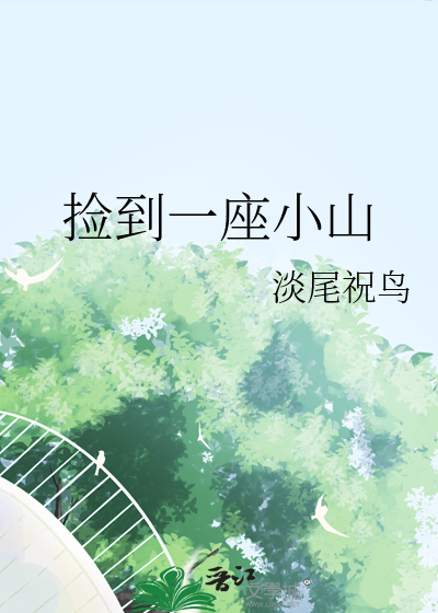 捡到一座小山