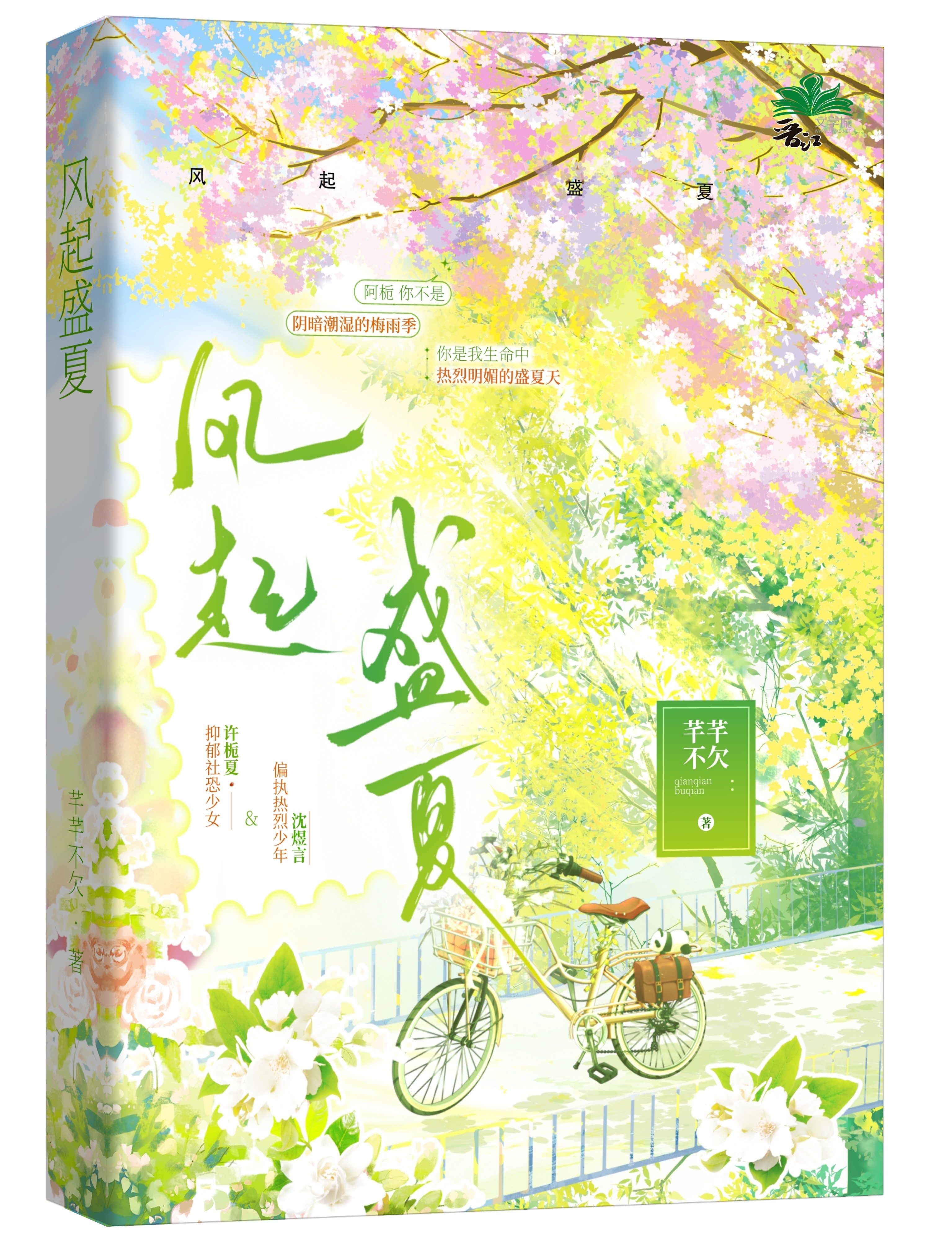 《风起盛夏
