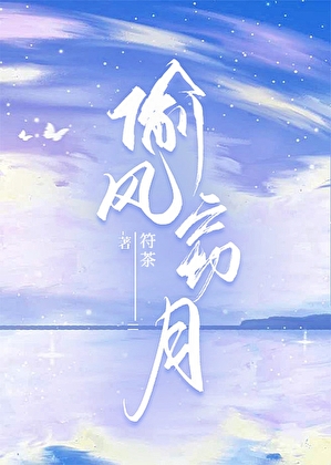 偷风窃月