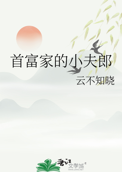 首富家的小夫郎