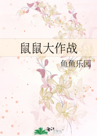 鼠鼠大作战