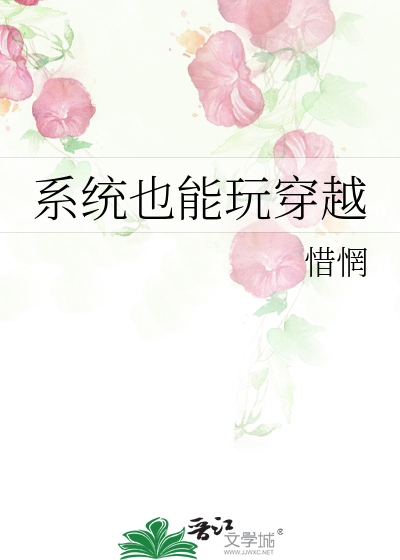 系统也能玩穿越