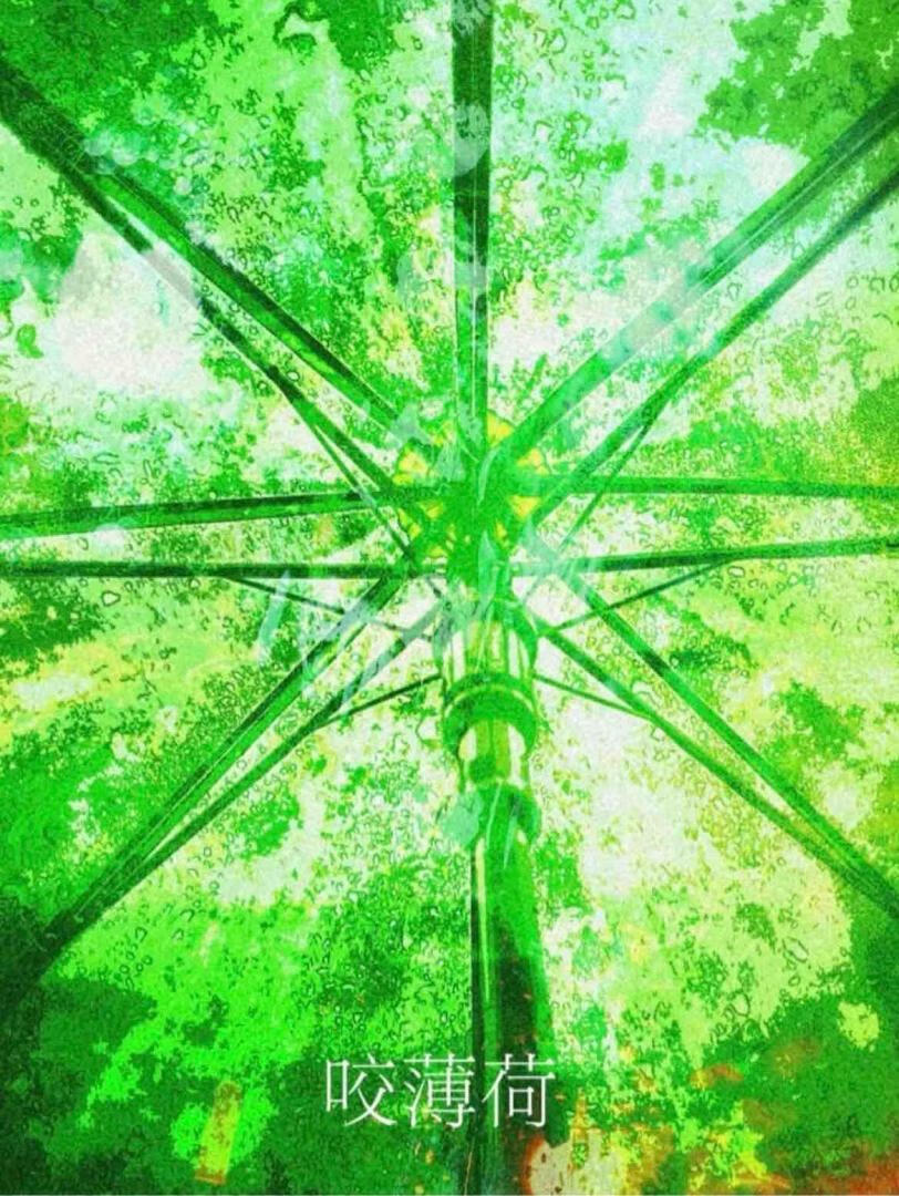 咬薄荷［人前不熟］