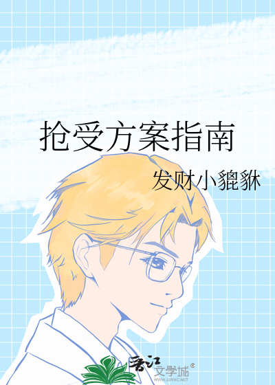 抢受方案指南