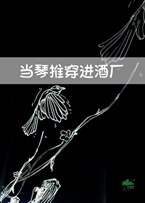 当琴推穿进酒厂