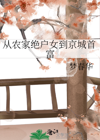 从农家绝户女到京城首富