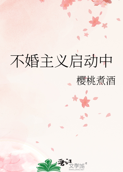 不婚主义启动中