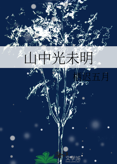 山中光未明