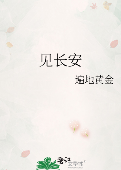 见长安