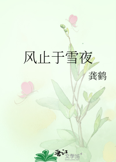 风止于雪夜