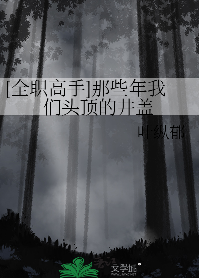 [全职高手]那些年我们头顶的井盖