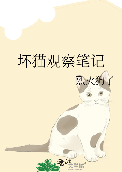 坏猫观察笔记