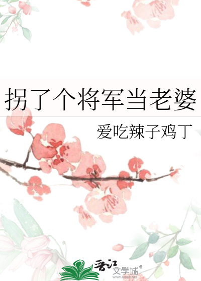 拐了个将军当老婆