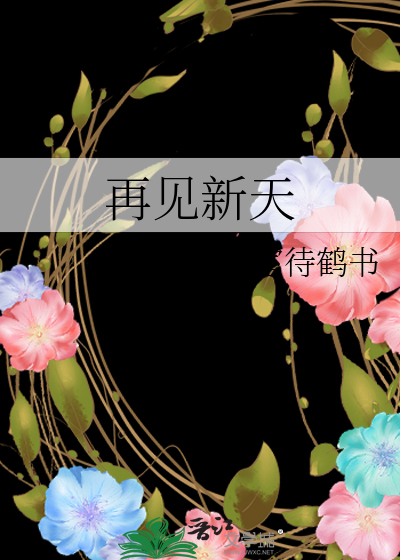 再见新天