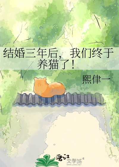 结婚三年后，我们终于养猫了！
