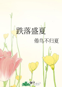 跌落盛夏