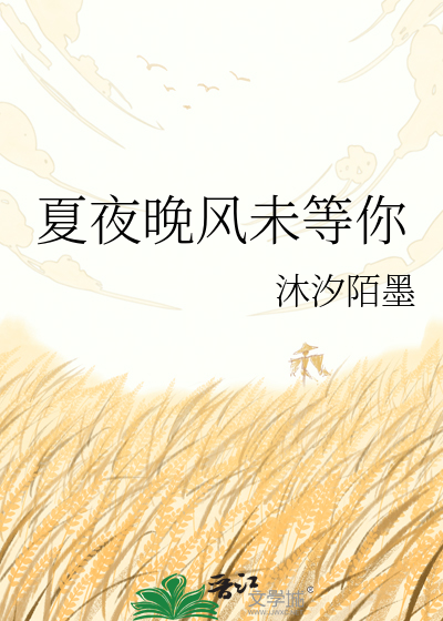 夏夜晚风未等你