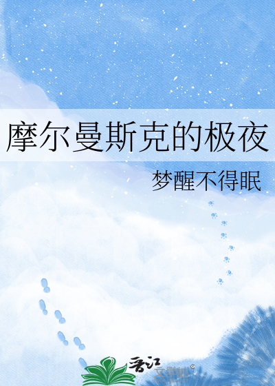 摩尔曼斯克的极夜