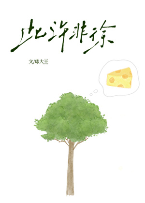 此许非徐