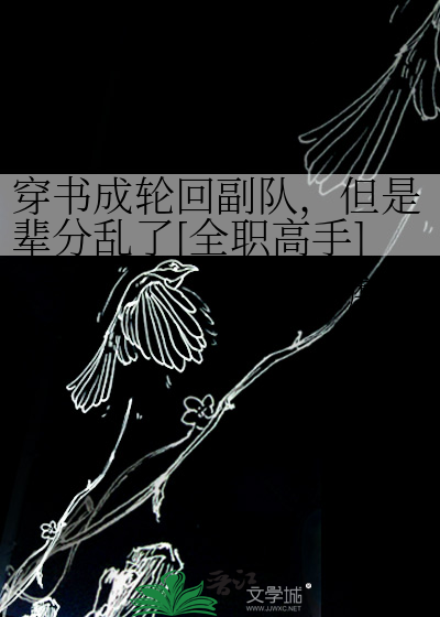 穿书成轮回副队，但是辈分乱了[全职高手]