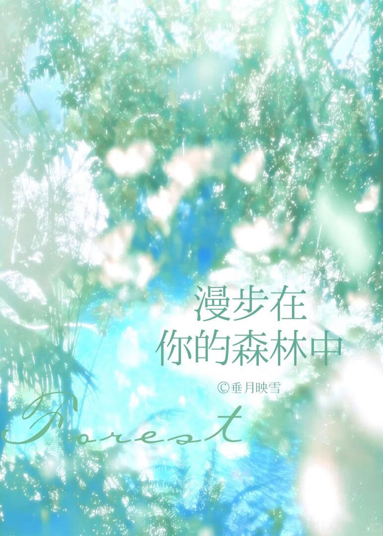 漫步在你的森林中