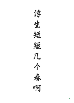 睡莲说