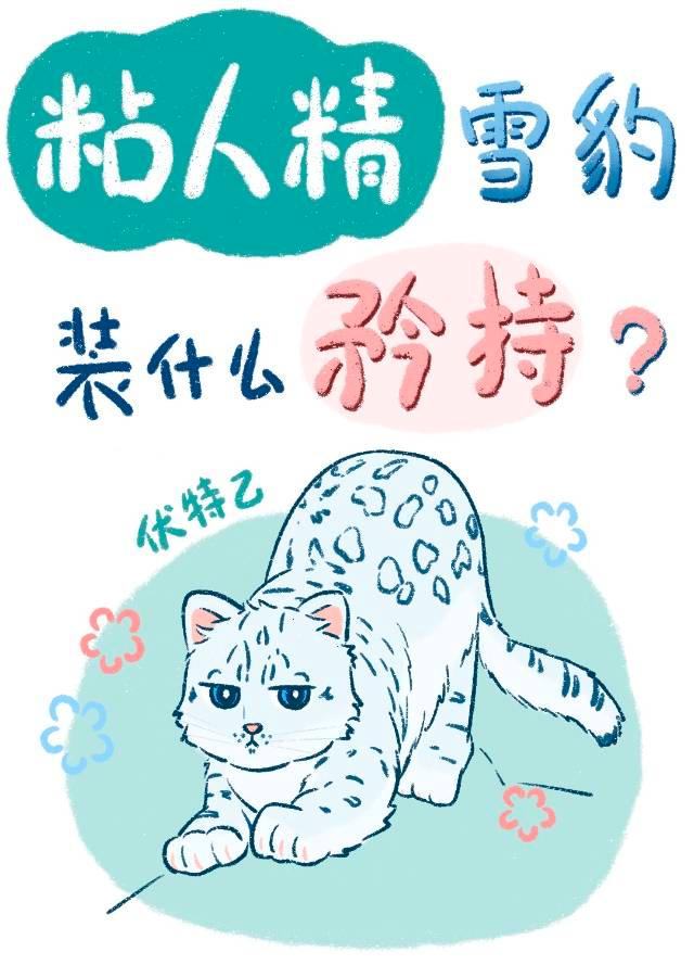 粘人精雪豹装什么纯情？