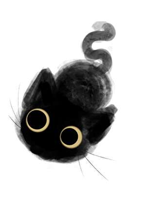 猫猫黑一点怎么了！