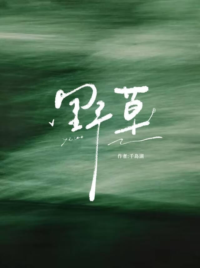 【樊振东】野草
