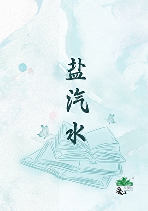 盐汽水