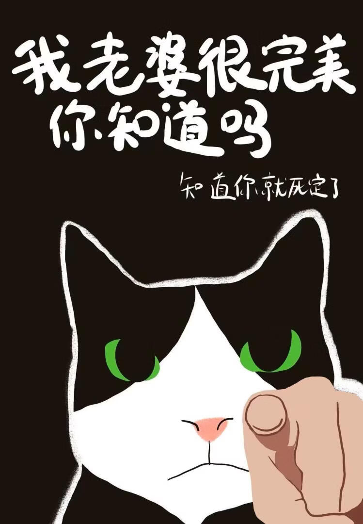 我老婆很完美你知道吗