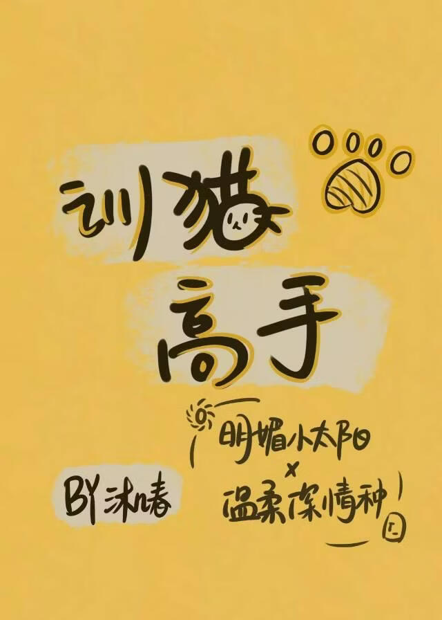 训猫高手