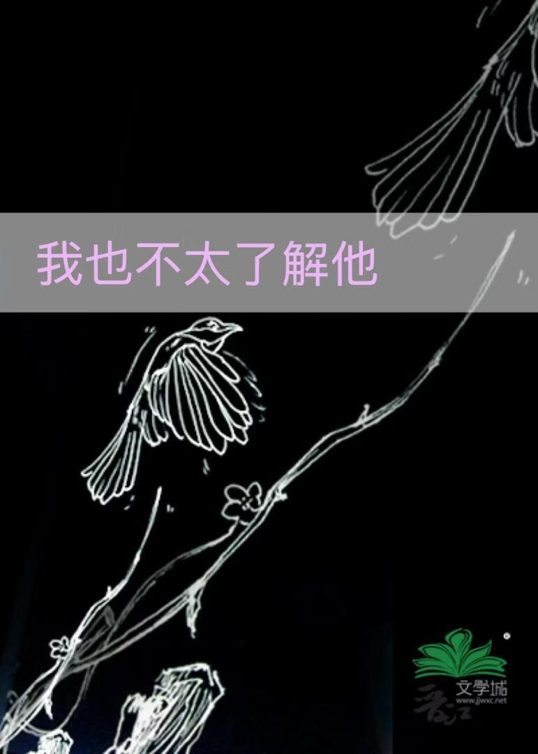 我也不太了解他
