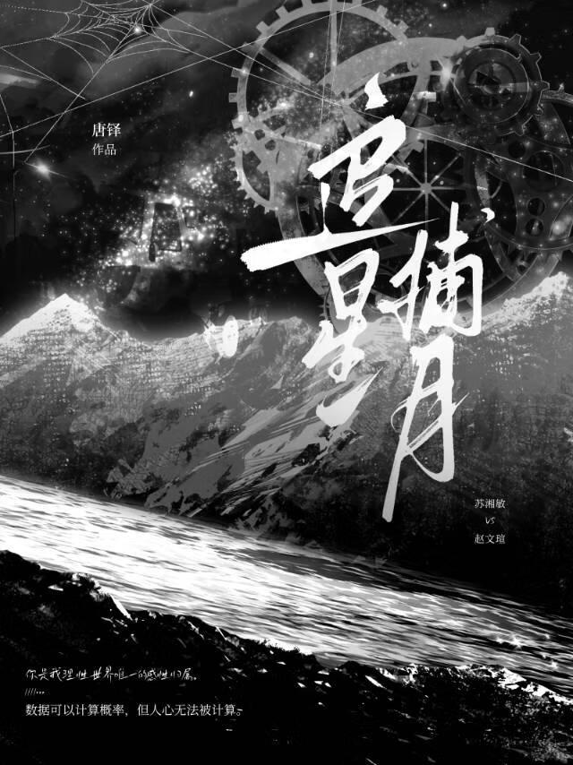 追星捕月