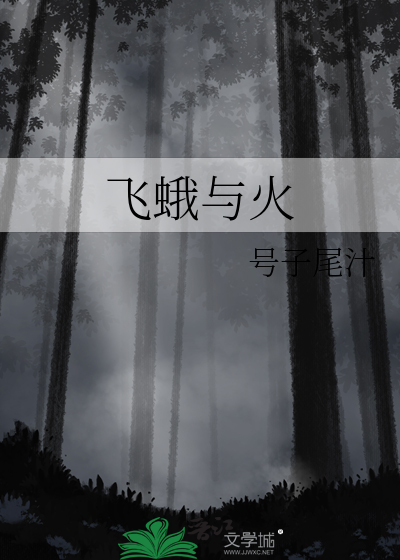 飞蛾与火