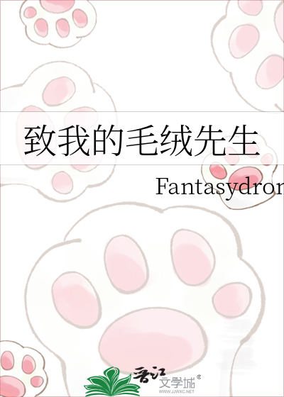致我的毛绒先生